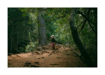 kid friendly nature adventures