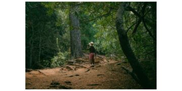 kid friendly nature adventures