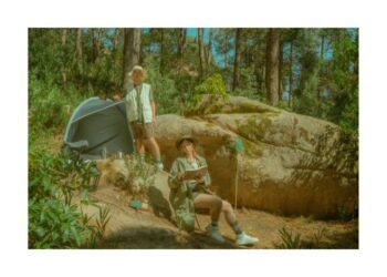 how to set up camp monster hunter wilds