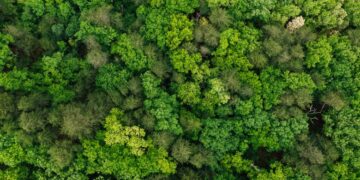 natural world disneynature growing up wild