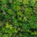 natural world disneynature growing up wild