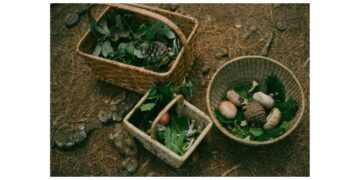 seasonal foraging guide