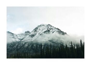 national parks wild adventures
