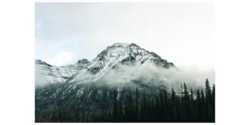 national parks wild adventures
