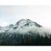 national parks wild adventures