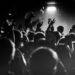 wild music group