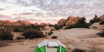 monster hunter wilds set up camp