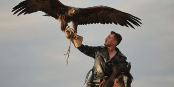 the hunter call of the wild level up chart