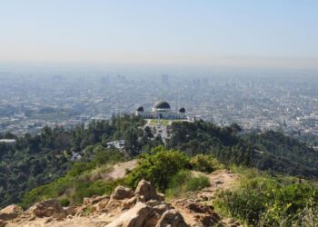 the wild los angeles