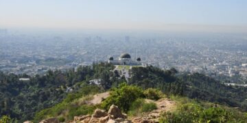 the wild los angeles