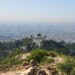the wild los angeles