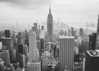 Star City Whitetails