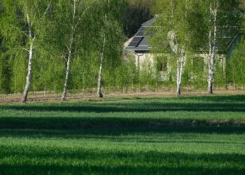 The Hidden Power of a Truly Clean Environment