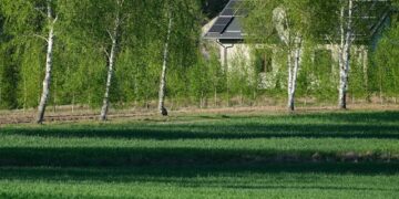 The Hidden Power of a Truly Clean Environment