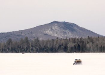 esther ngoy tekele vermont border detention