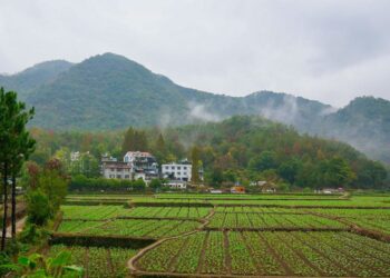 farmland partners inc