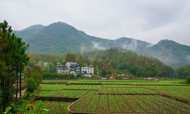 farmland partners inc