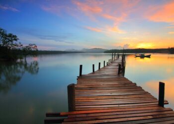 Rewilding the Mind Why We Need the Open Sea