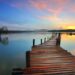Rewilding the Mind Why We Need the Open Sea