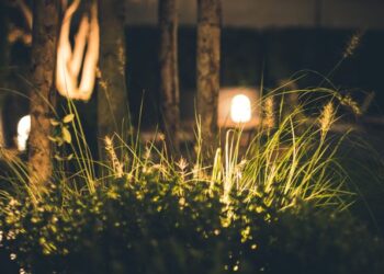 How to Create a Wildlife-Friendly Garden That Still Feels Magical at Night