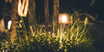 How to Create a Wildlife-Friendly Garden That Still Feels Magical at Night