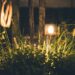 How to Create a Wildlife-Friendly Garden That Still Feels Magical at Night