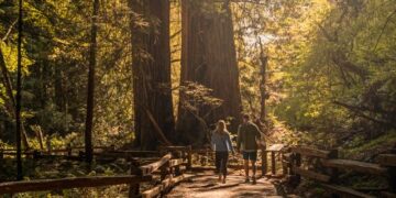 15 Best Things to Do in Redwood National Park
